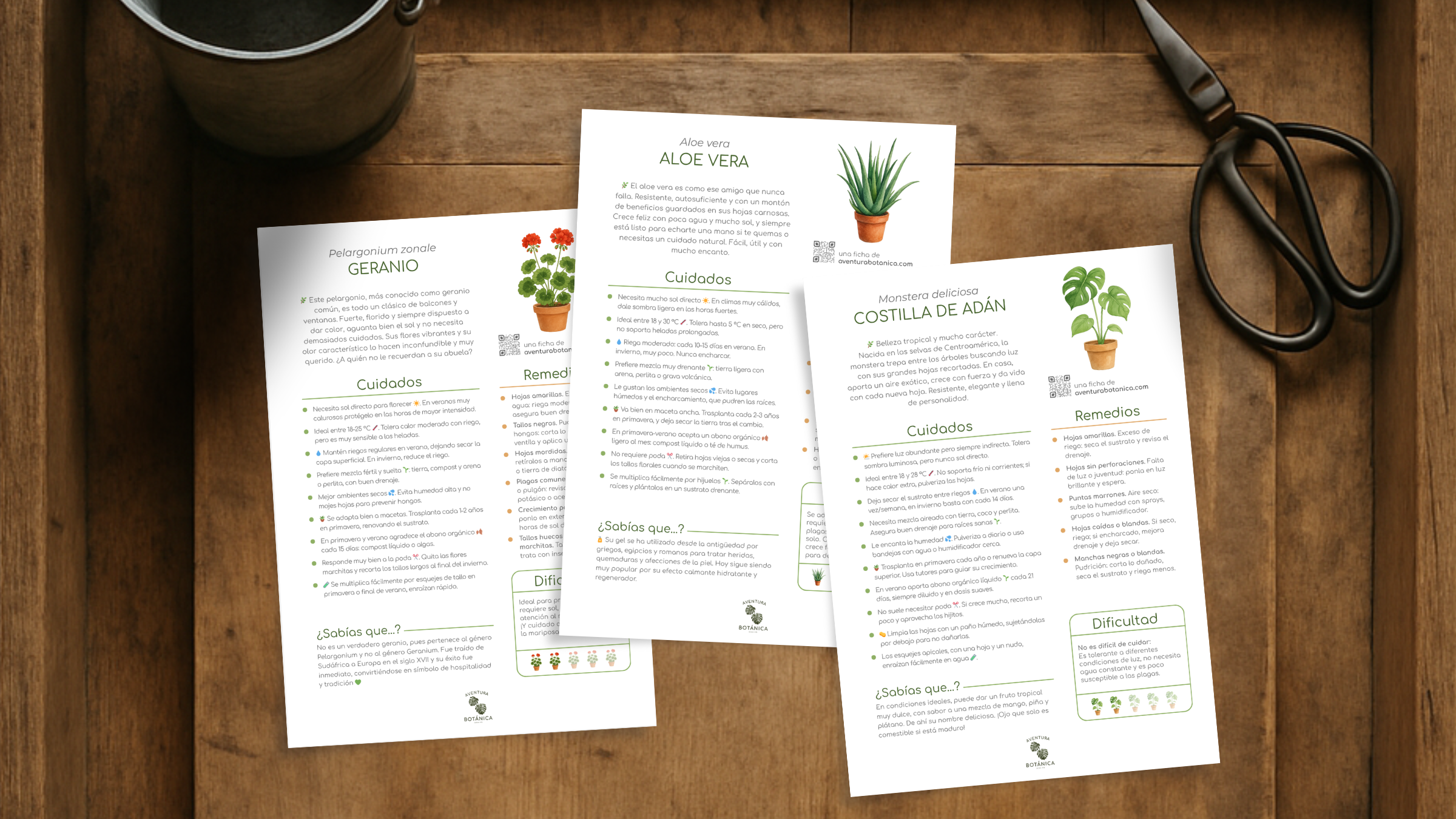 Fichas de cuidados de Aventura Botánica