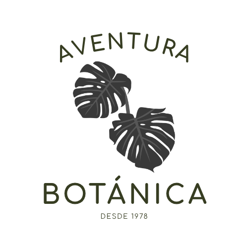 aventura (20)