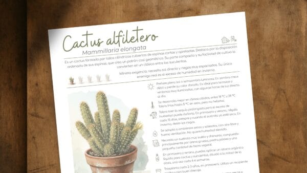 Cómo cuidar el cactus alfiletero (Mammillaria elongata)