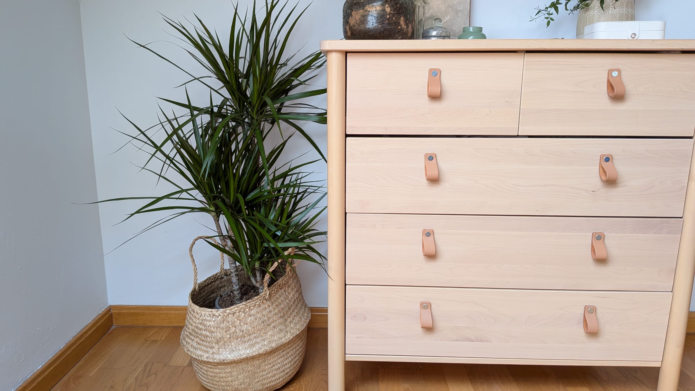 Drácena de hoja fina (Dracaena marginata)