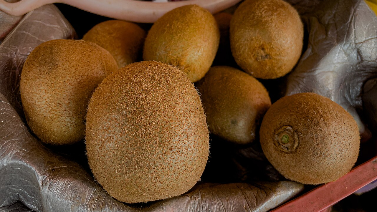 Kiwi (Actinidia deliciosa)