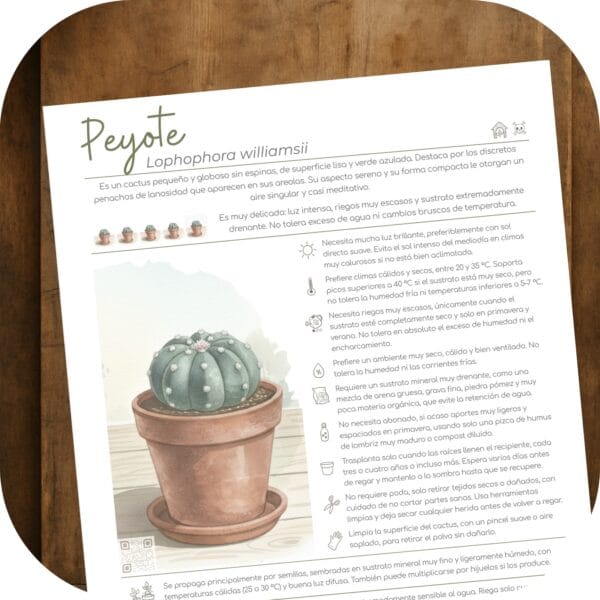 Cómo cuidar el peyote (Lophophora williamsii)