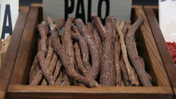 Cómo cuidar el regaliz (Glycyrrhiza glabra)